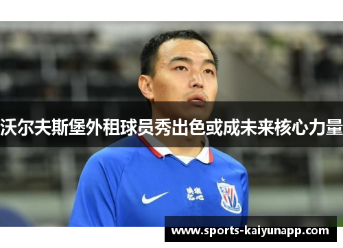 沃尔夫斯堡外租球员秀出色或成未来核心力量
